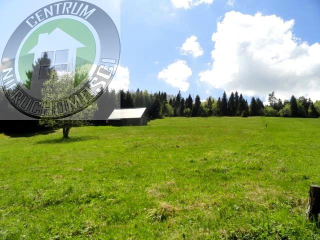 Grunt na sprzedaż w Ochotnica Dolna, Małopolskie