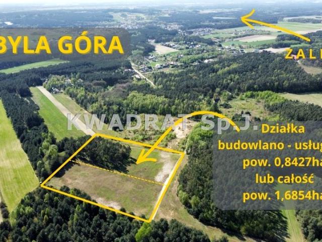 Grunt na sprzedaż w Kobyla Góra, Wielkopolskie