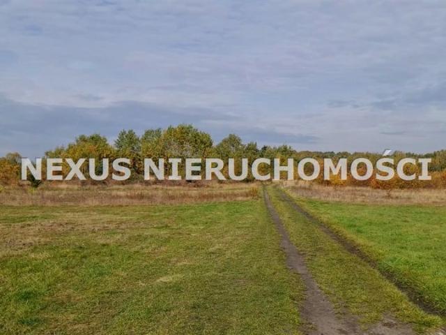 Grunt na sprzedaż w Dąbrowa Górnicza, Śląskie