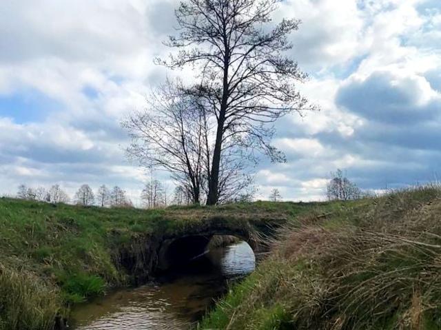 Grunt na sprzedaż w Wielka Nieszawka, Kujawsko-pomorskie