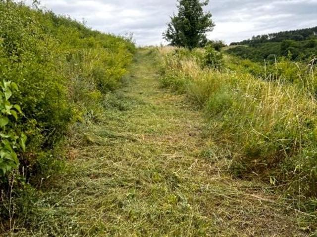 Grunt na sprzedaż w Osielsko, Kujawsko-pomorskie