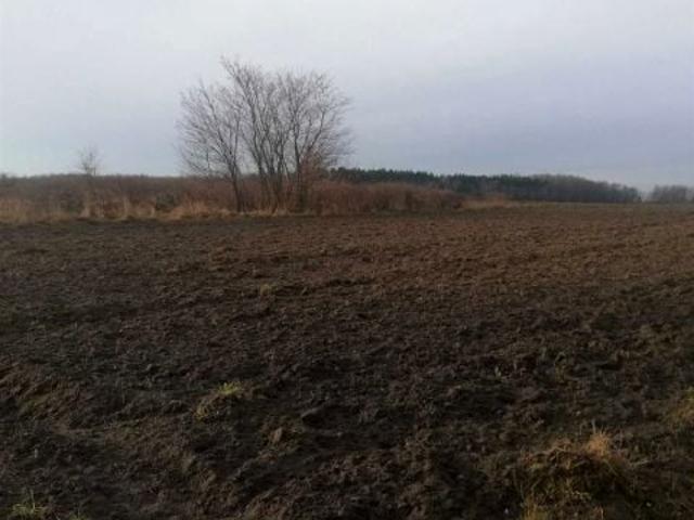 Grunt na sprzedaż w Koluszki, Łódzkie