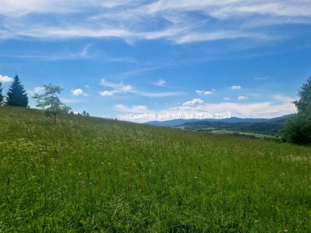 Grunt na sprzedaż w Jordanów, Małopolskie