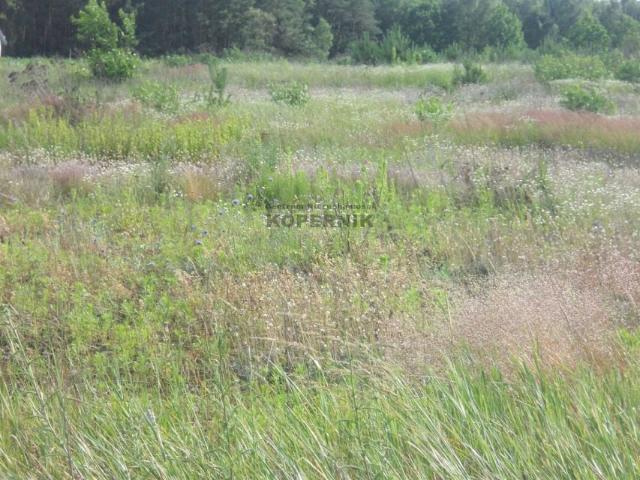 Grunt na sprzedaż w Gutowo, Kujawsko-pomorskie