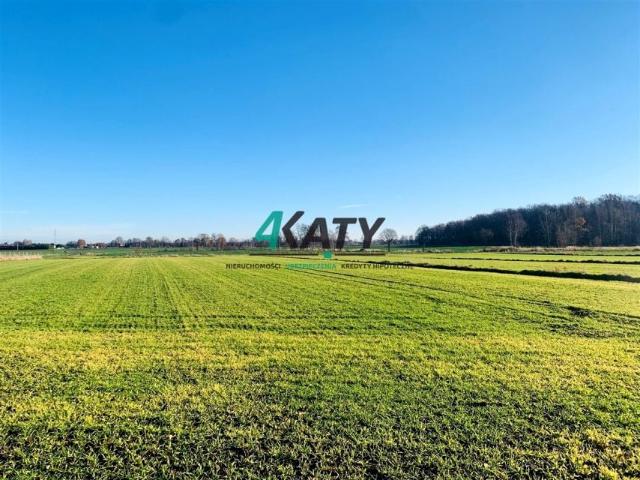 Grunt na sprzedaż w Pszczyna, Śląskie