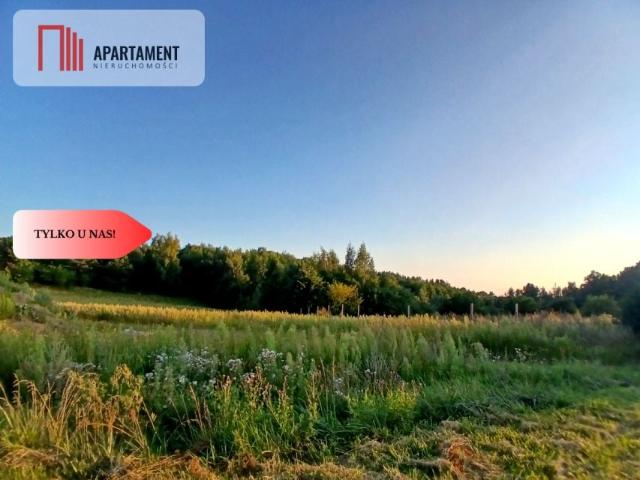 Grunt na sprzedaż w Kurzętnik, powiat nowomiejski