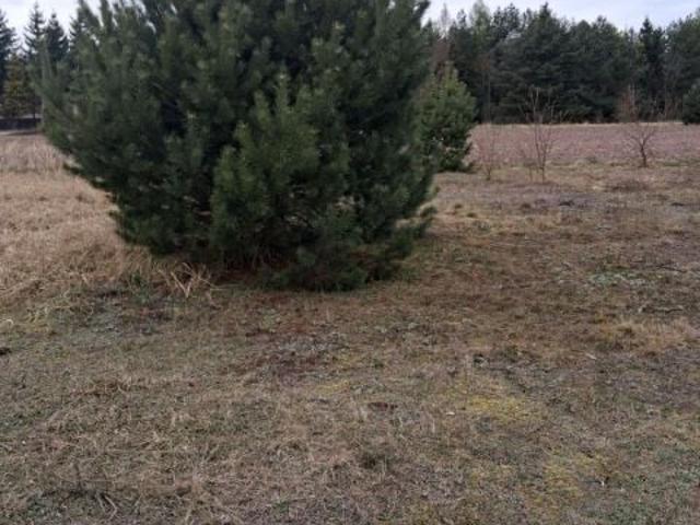 Grunt na sprzedaż w Baranówko, Wielkopolskie