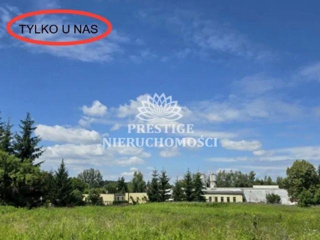 Grunt na sprzedaż w Pobiedziska, Wielkopolskie