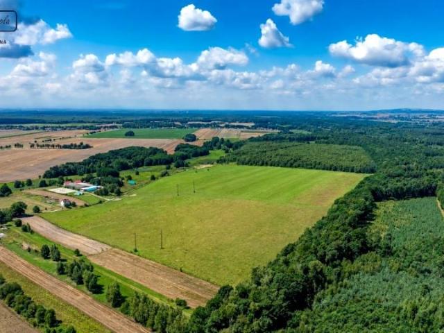 Grunt na sprzedaż w Rudziniec, Śląskie
