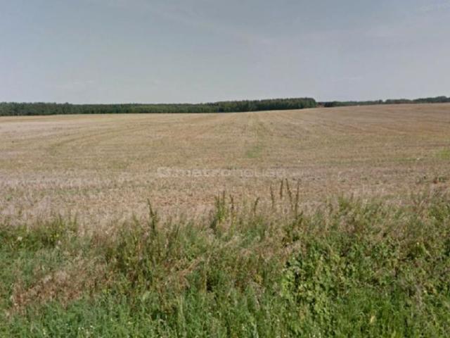 Grunt na sprzedaż w Dopiewo, Wielkopolskie
