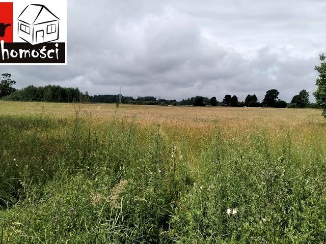 Grunt na sprzedaż w Olimpin, Kujawsko-pomorskie