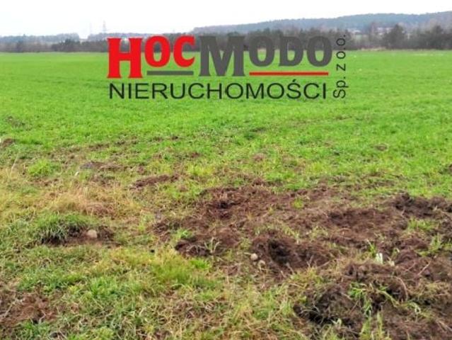Grunt na sprzedaż w Serock, Mazowieckie