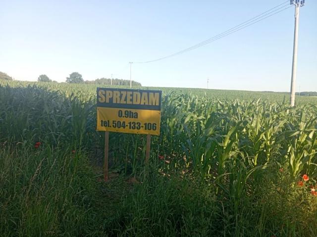 Grunt na sprzedaż w Gdańsk, Pomorskie