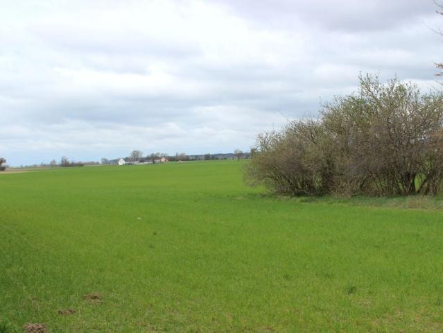 Grunt na sprzedaż w Barcin, Kujawsko-pomorskie