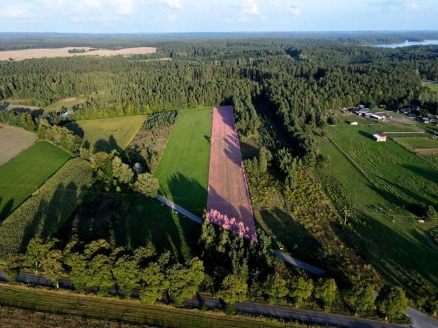 Grunt na sprzedaż w Łukta, powiat ostródzki