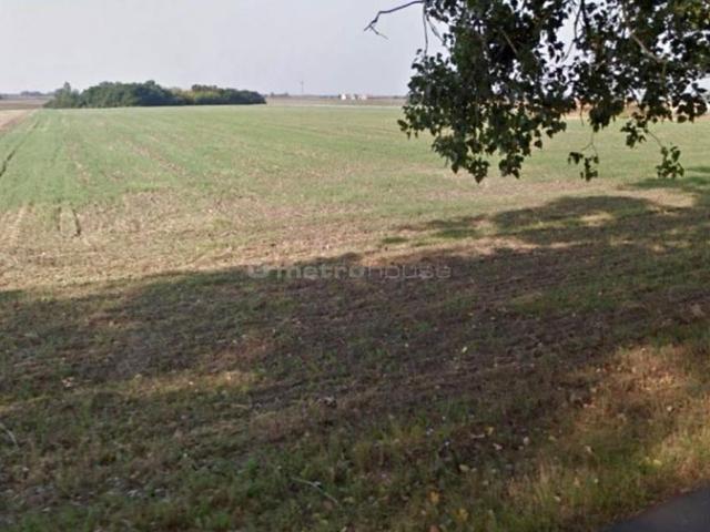 Grunt na sprzedaż w Sierosław, Wielkopolskie