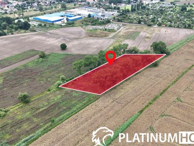 Grunt na sprzedaż w Czerwieńsk, Lubuskie