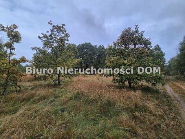 Grunt na sprzedaż w Konopiska, Śląskie