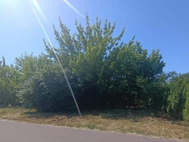 Grunt na sprzedaż w Czernikowo, Kujawsko-pomorskie