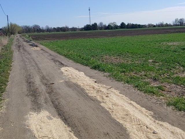 Grunt na sprzedaż w Gorzów Wielkopolski, Lubuskie