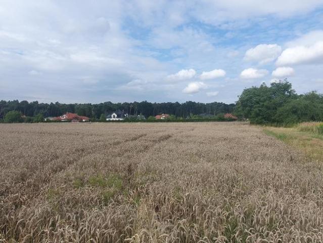 Grunt na sprzedaż w Świdnik, Lubelskie