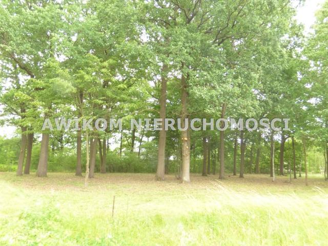 Grunt na sprzedaż w Rusiec, Mazowieckie