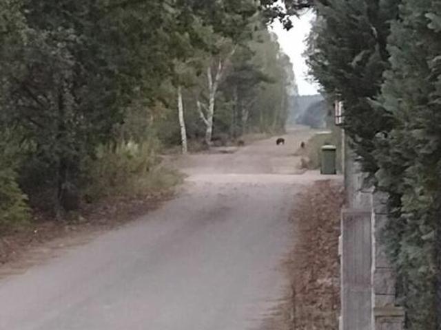 Grunt na sprzedaż w Czosnów, Mazowieckie