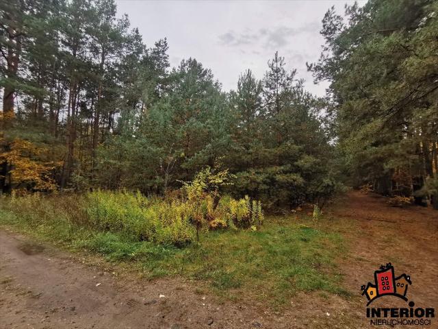 Grunt na sprzedaż w Serock, Mazowieckie