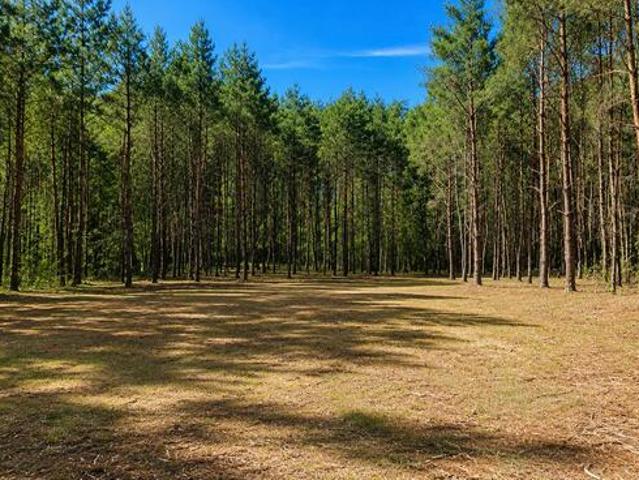 Grunt na sprzedaż w Kiszkowo, powiat gnieźnieński