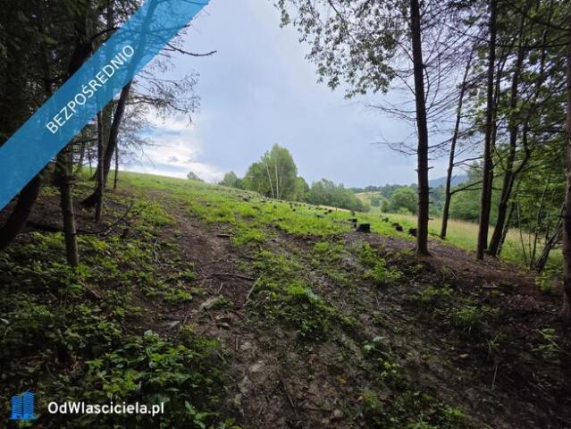 Grunt na sprzedaż w Solina, powiat leski