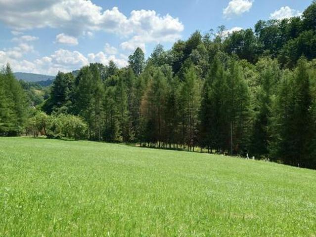 Grunt na sprzedaż w Solina, powiat leski