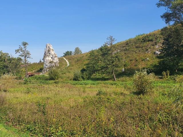 Grunt na sprzedaż w Mstów, Śląskie