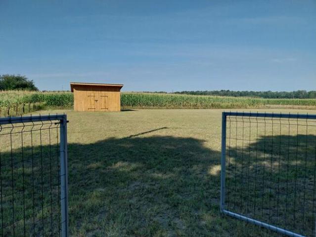 Grunt na sprzedaż w Miedzna, Mazowieckie