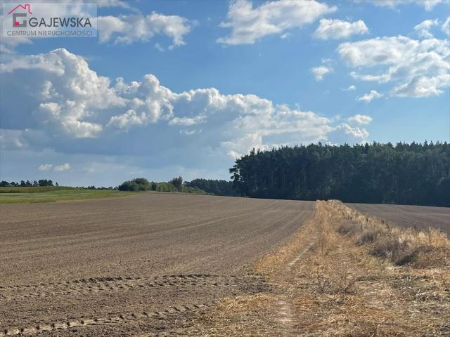 Grunt na sprzedaż w Szydłowo, Wielkopolskie