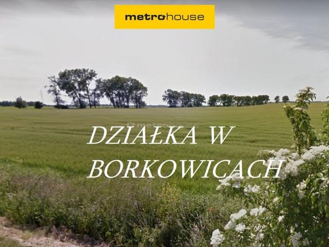 Grunt na sprzedaż w Krosno, Wielkopolskie