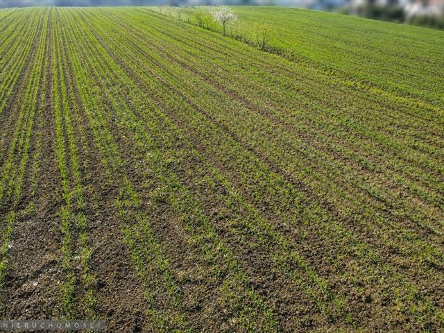 Grunt na sprzedaż w Kraków, Małopolskie