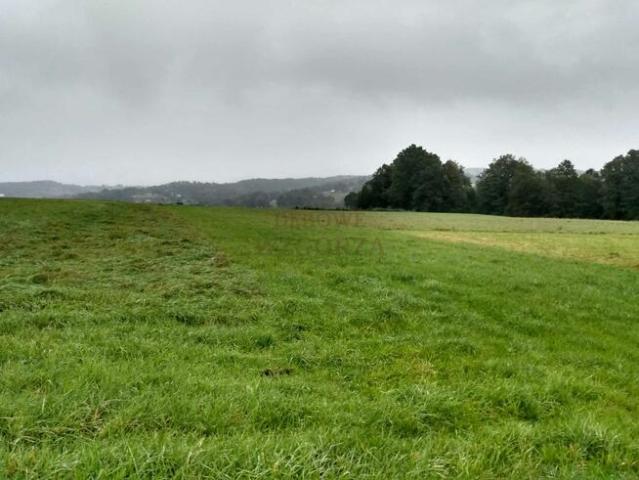 Grunt na sprzedaż w Łapanów, Małopolskie