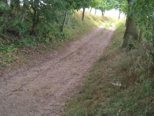 Grunt na sprzedaż w Olszyna, Dolnośląskie