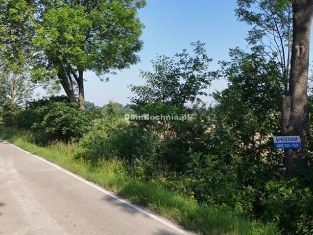Grunt na sprzedaż w Rzezawa, Małopolskie