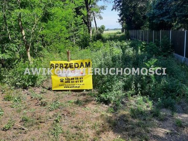Grunt na sprzedaż w Grabów nad Pilicą, powiat kozienicki