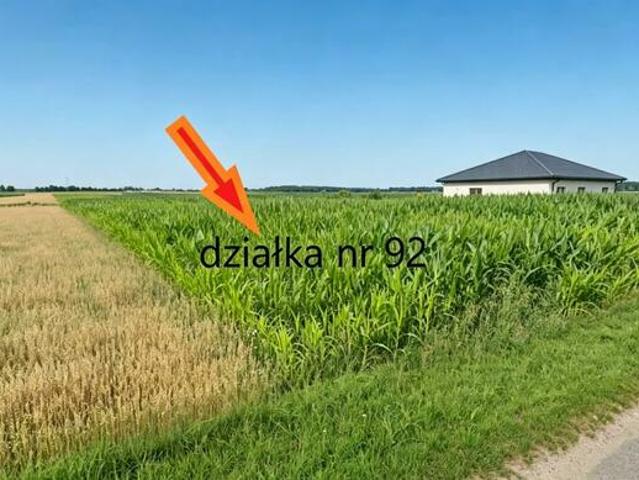 Grunt na sprzedaż w Zbuczyn, Mazowieckie