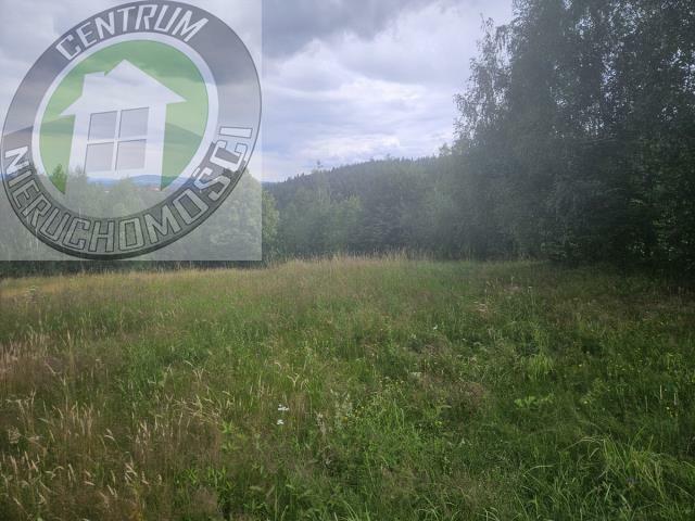 Grunt na sprzedaż w Kamionka Wielka, Małopolskie