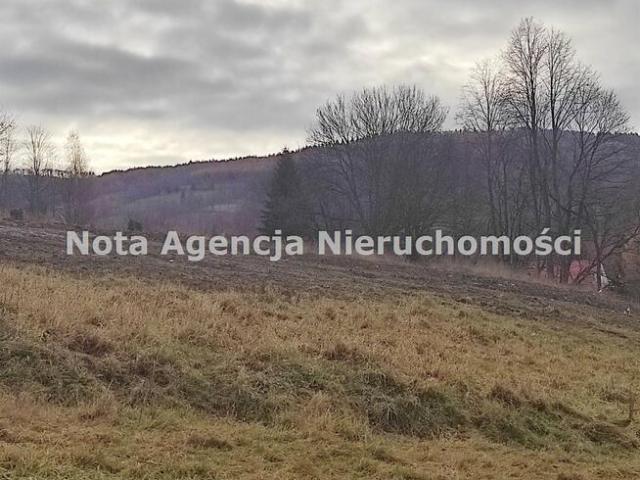 Grunt na sprzedaż w Walim, Dolnośląskie