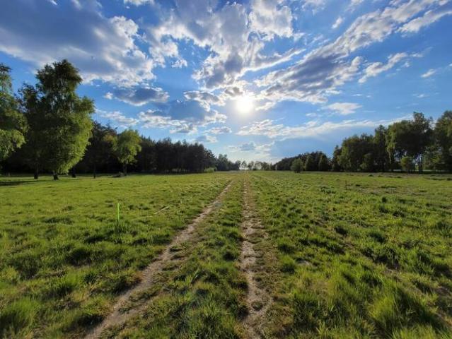 Grunt na sprzedaż w Brochów, Mazowieckie