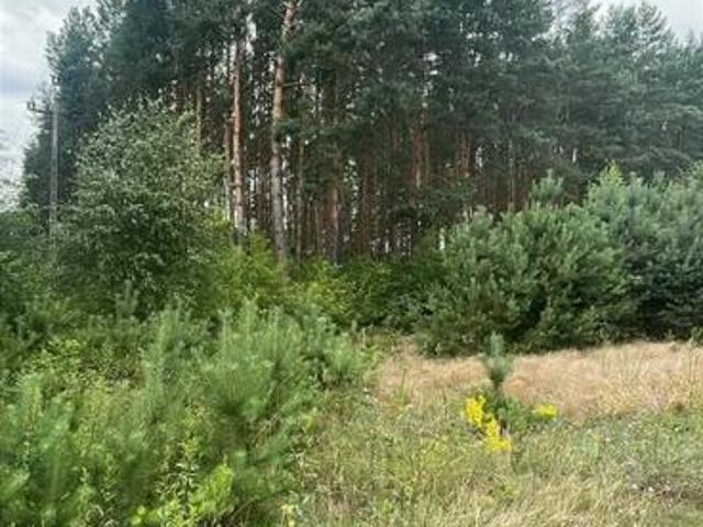 Grunt na sprzedaż w Goworowo, Mazowieckie