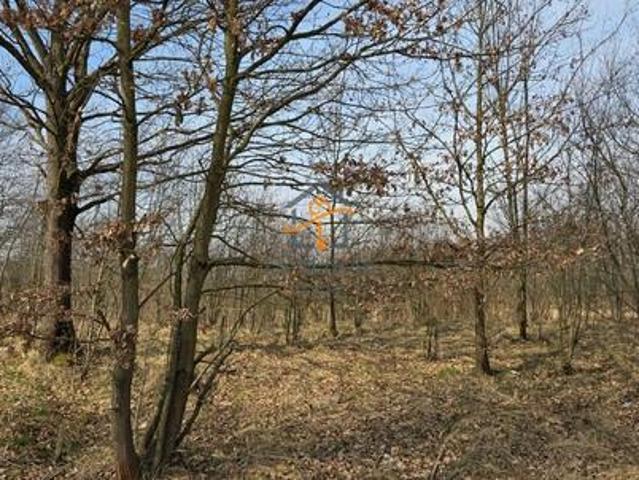 Grunt na sprzedaż w Brzeźnica, Małopolskie