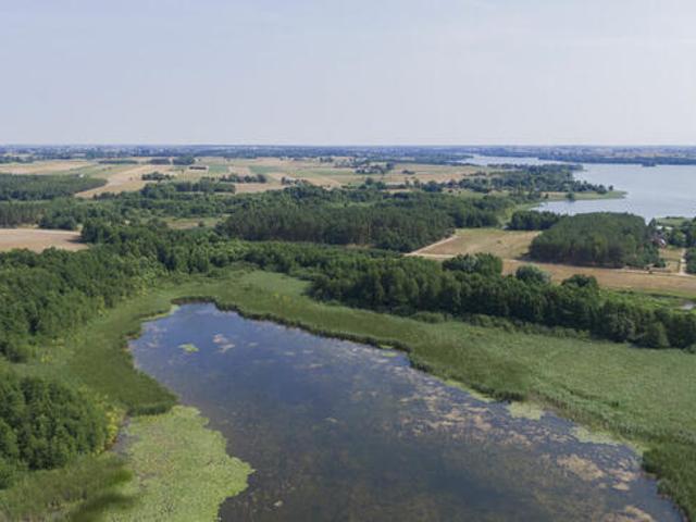 Grunt na sprzedaż w Mogilno, Kujawsko-pomorskie