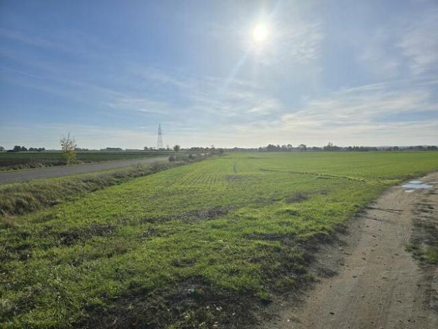 Grunt na sprzedaż w Głogów, Dolnośląskie