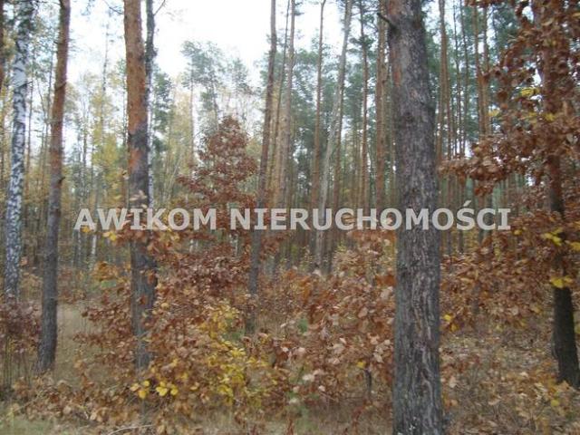 Grunt na sprzedaż w Żabia Wola, Mazowieckie