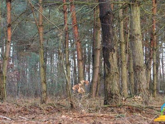 Grunt na sprzedaż w Tarczyn, powiat piaseczyński
